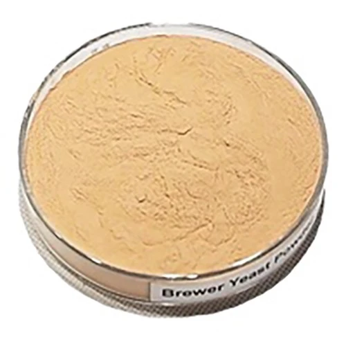 brewers yeast 500mg