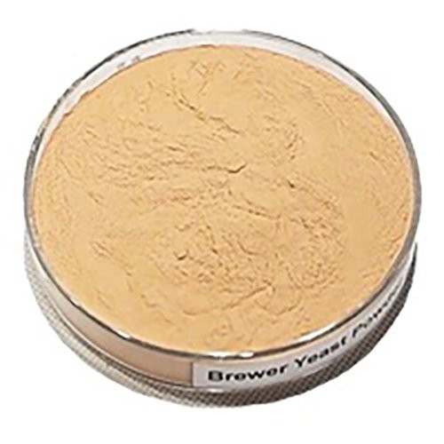 Brewers Yeast 25kg