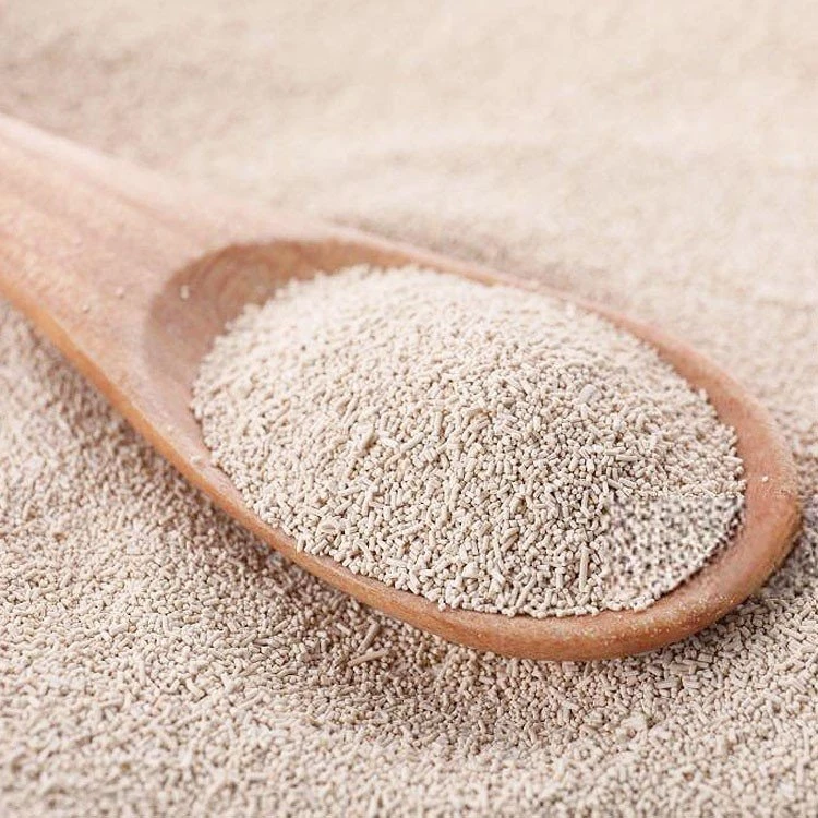 yeast powder online